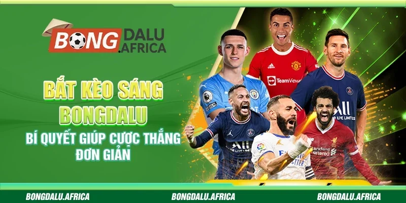 Bắt Kèo Sáng Bongdalu - Bí Quyết Giúp Cược Thắng Đơn Giản