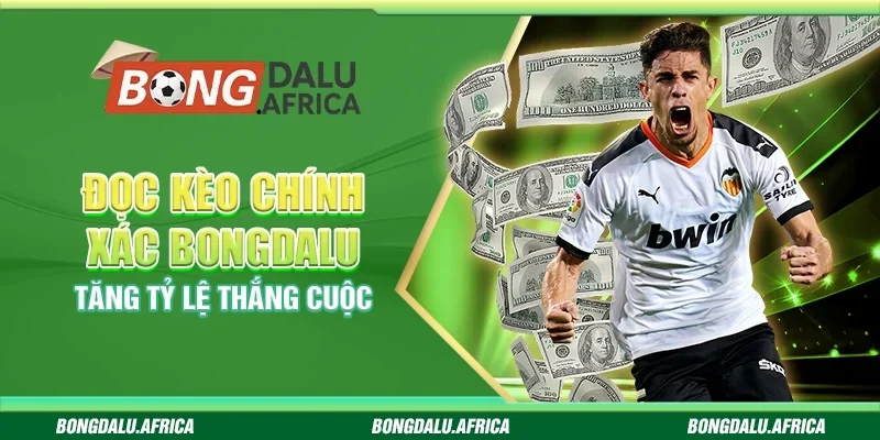 Đọc Kèo Chính Xác Bongdalu - Tăng Tỷ Lệ Thắng Cuộc