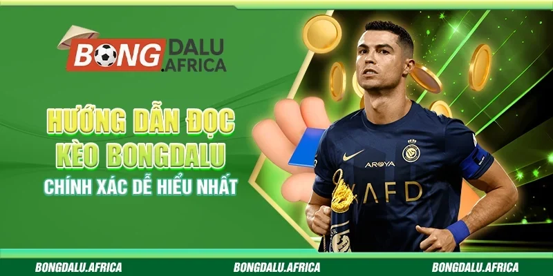 Hướng Dẫn Đọc Kèo Bongdalu - Chính Xác Dễ Hiểu Nhất