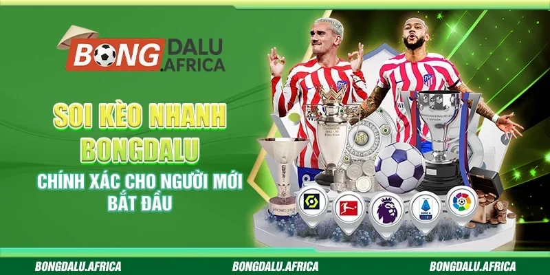 Soi Kèo Nhanh Bongdalu - Chính Xác Cho Người Mới Bắt Đầu