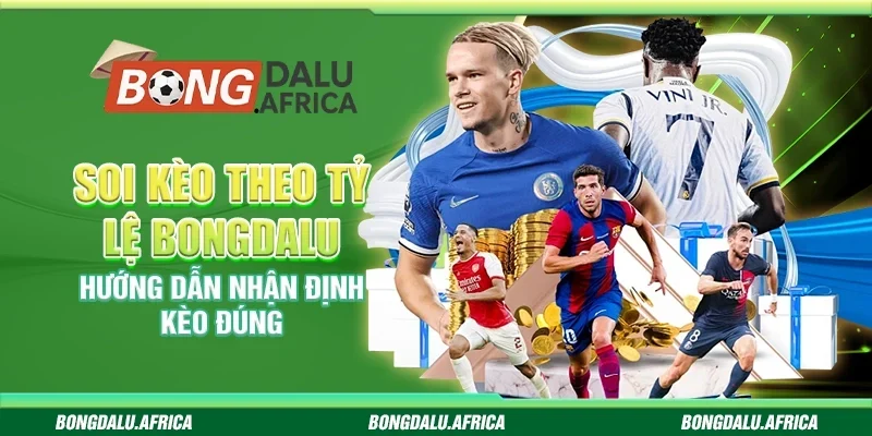 Soi Kèo Theo Tỷ Lệ Bongdalu - Hướng Dẫn Nhận Định Kèo Đúng