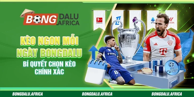 Kèo Ngon Mỗi Ngày Bongdalu - Bí Quyết Chọn Kèo Chính Xác