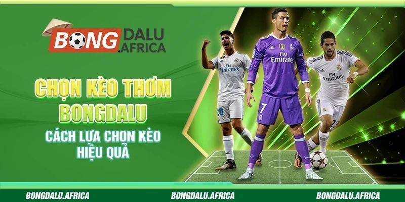 Chọn Kèo Thơm Bongdalu - Cách Lựa Chọn Kèo Hiệu Quả