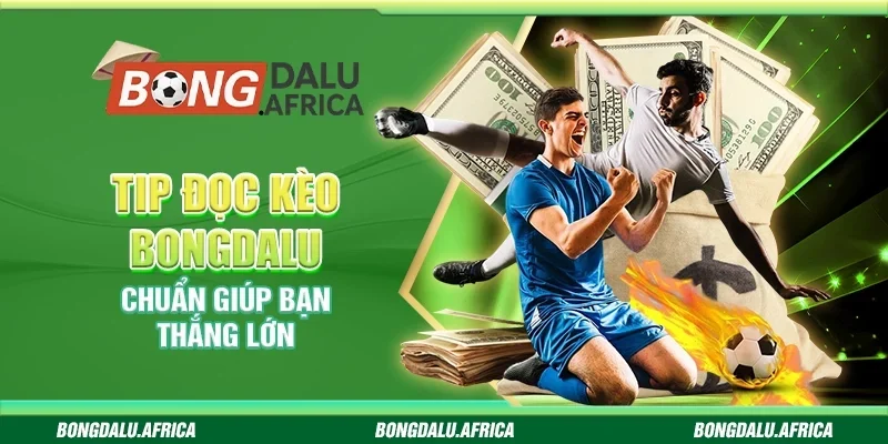 Tip Đọc Kèo Bongdalu - Chuẩn Giúp Bạn Thắng Lớn