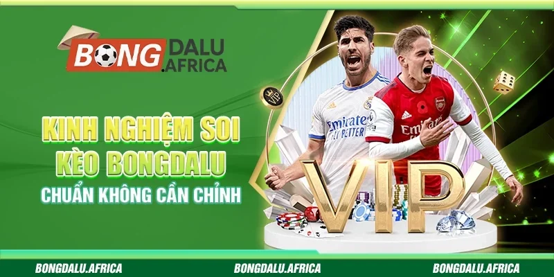 Kinh Nghiệm Soi Kèo Bongdalu - Chuẩn Không Cần Chỉnh