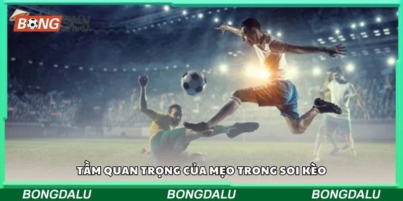 Tầm quan trọng của mẹo trong soi kèo