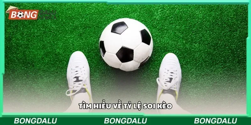 Tìm hiểu về tỷ lệ soi kèo