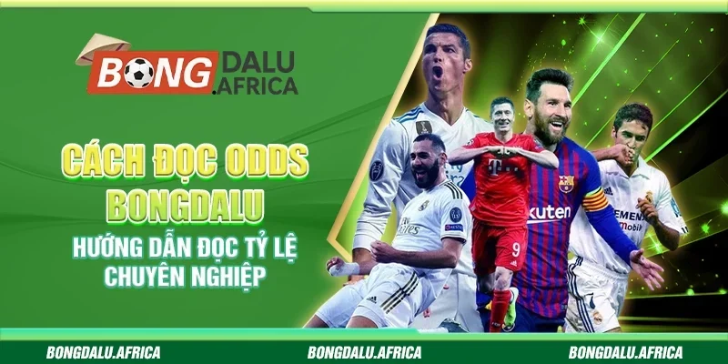 Cách Đọc Odds Bongdalu – Hiểu Tỷ Lệ, Tăng Cơ Hội Thắng