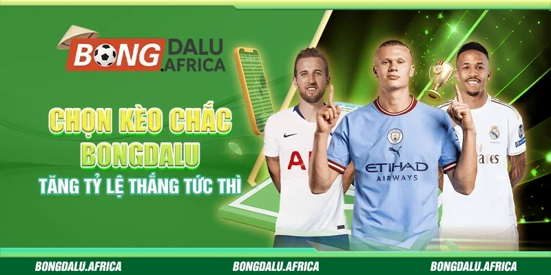 Chọn Kèo Chắc Bongdalu - Tăng Tỷ Lệ Thắng Tức Thì