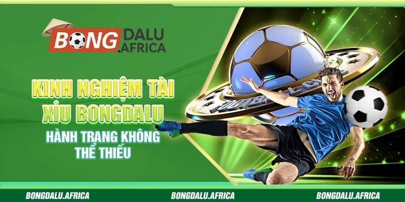 Kinh nghiệm tài xỉu bongdalu - Hành trang không thể thiếu