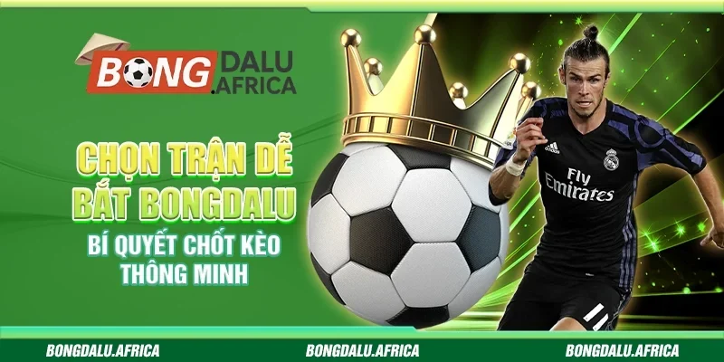 Chọn trận dễ bắt bongdalu -  Bí quyết chốt kèo thông minh 
