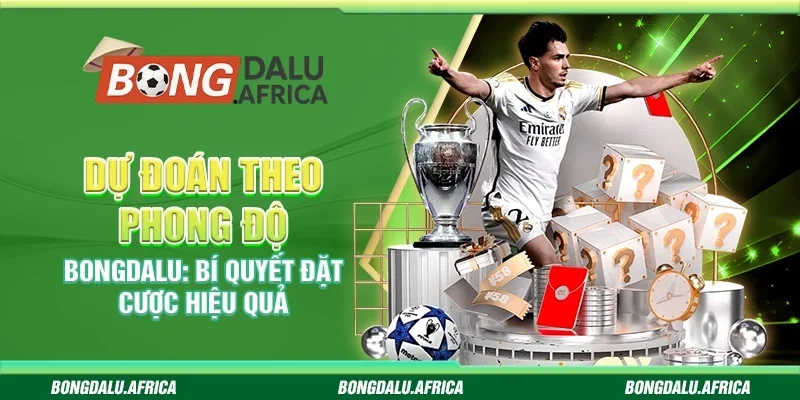 Dự Đoán Theo Phong Độ Bongdalu - Bí Quyết Đặt Cược Hiệu Quả
