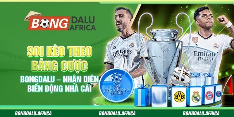 Soi Kèo Theo Bảng Cược Bongdalu – Nhận Diện Biến Động Nhà Cái