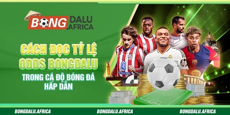 Cách Đọc Tỷ Lệ Odds Bongdalu-Trong Cá Độ Bóng Đá Hấp Dẫn