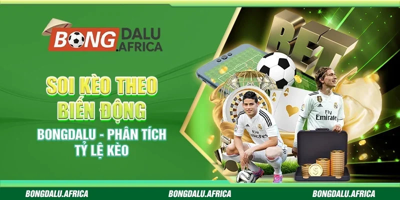 Soi Kèo Theo Biến Động Bongdalu - Phân Tích Tỷ Lệ Kèo