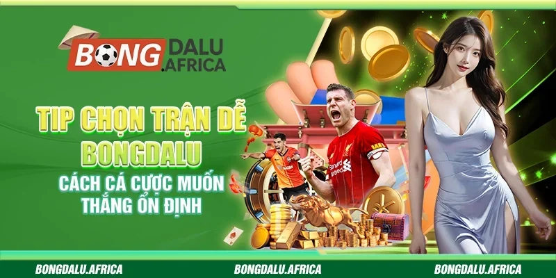Tip Chọn Trận Dễ Bongdalu - Cách Cá Cược Muốn Thắng Ổn Định