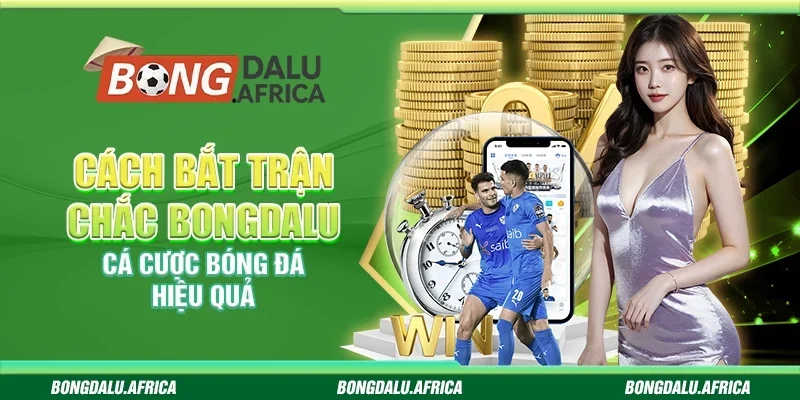 Cách Bắt Trận Chắc Bongdalu - Cá Cược Bóng Đá Hiệu Quả