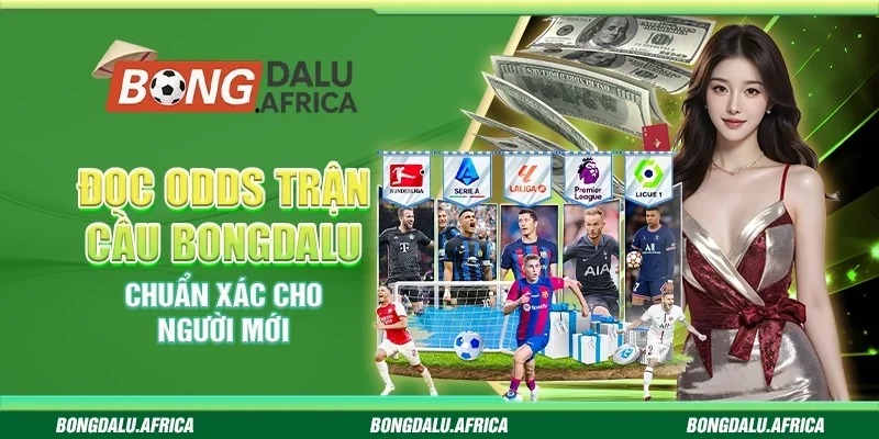 Đọc Odds Trận Cầu Bongdalu - Chuẩn Xác Cho Người Mới