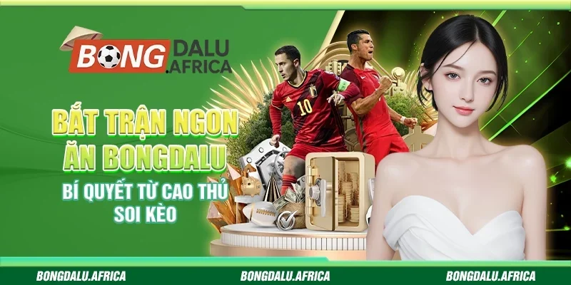 Bắt Trận Ngon Ăn Bongdalu - Bí Quyết Từ Cao Thủ Soi Kèo 