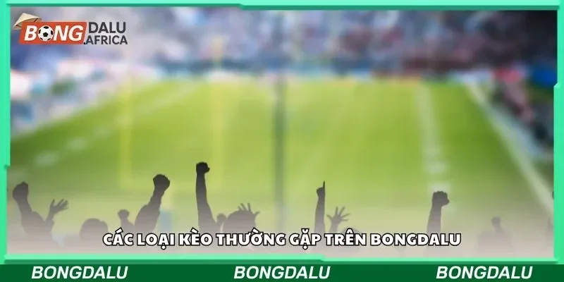 Các loại kèo thường gặp trên Bongdalu