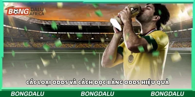 Các loại odds và cách đọc bảng odds hiệu quả
