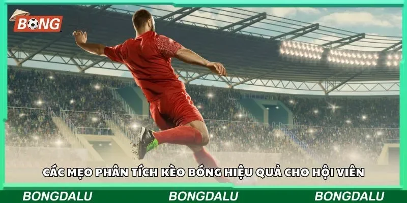 Các mẹo phân tích kèo bóng hiệu quả cho hội viên
