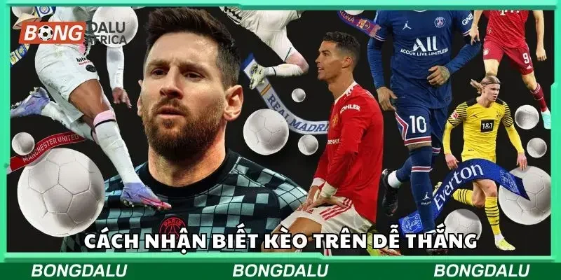 Cách nhận biết kèo trên