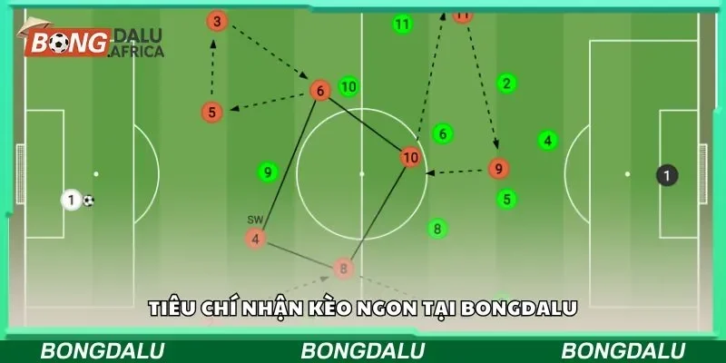 Tiêu chí nhận kèo ngon tại bongdalu