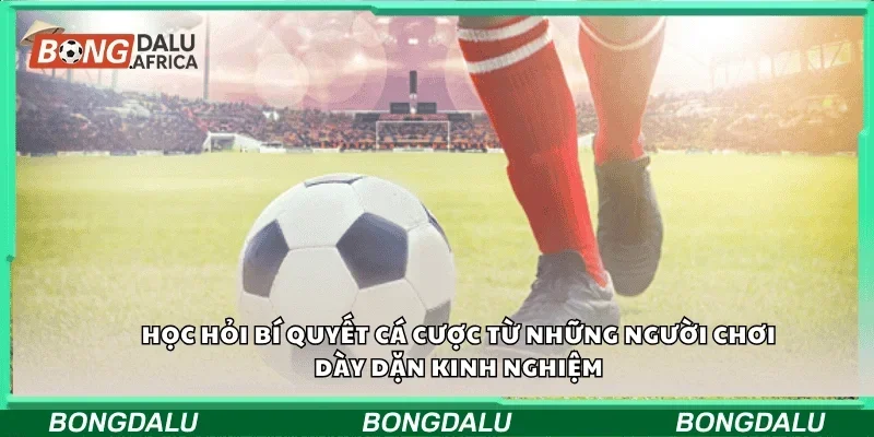 Học hỏi bí quyết cá cược từ những người chơi dày dặn kinh nghiệm
