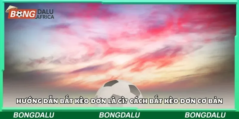Hướng dẫn bắt kèo đơn là gì? Cách bắt kèo đơn cơ bản