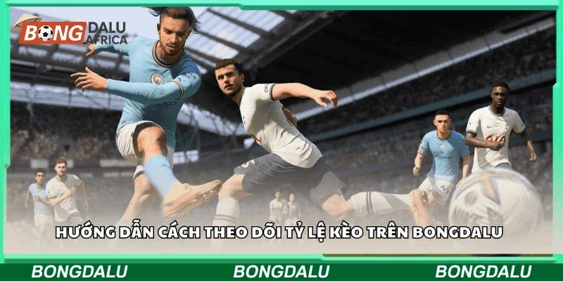 Hướng dẫn cách theo dõi tỷ lệ kèo trên Bongdalu