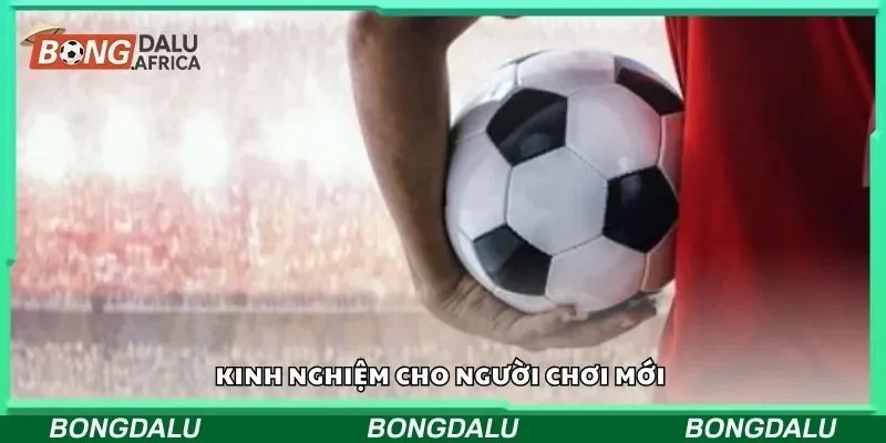 Kinh nghiệm cho người chơi mới 