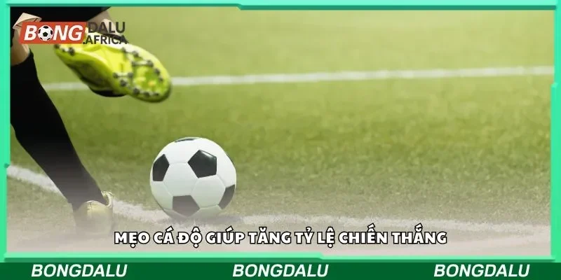 Mẹo cá độ giúp tăng tỷ lệ chiến thắng
