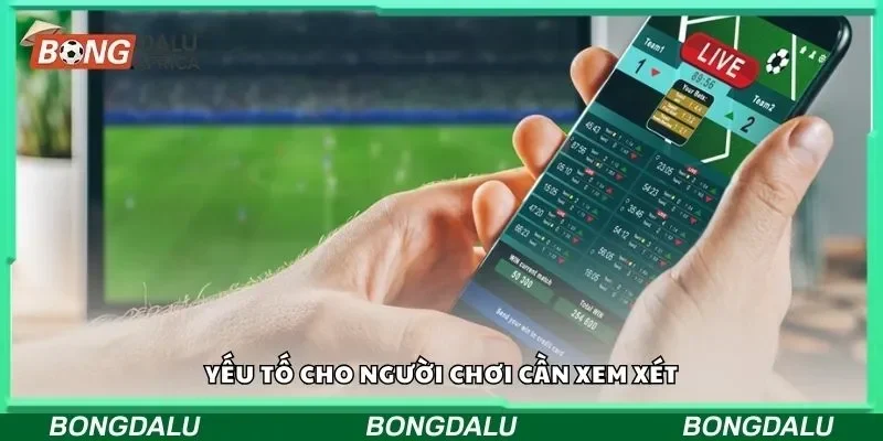 Yếu tố cho người chơi cần xem xét