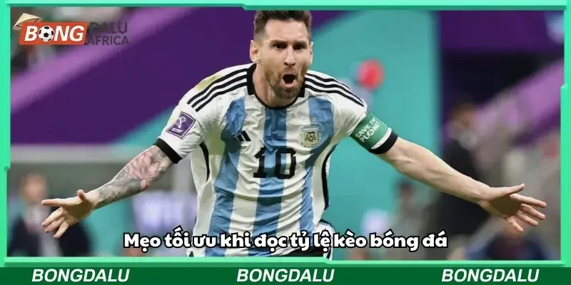 Mẹo tối ưu khi đọc tỷ lệ kèo bóng đá