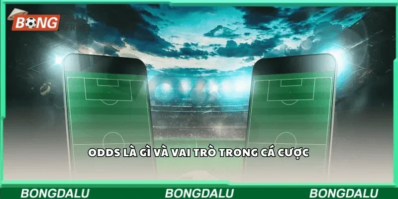 Odds là gì và vai trò trong cá cược