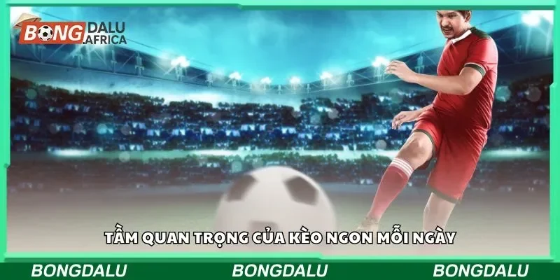 Đôi nét thông tin về kèo ngon mỗi ngày