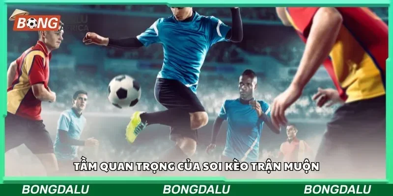 Tầm quan trọng của soi kèo trận muộn