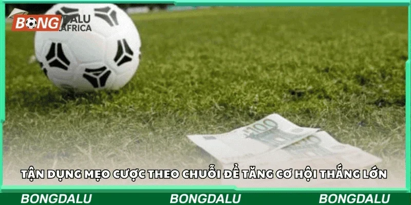 Tận dụng mẹo cược theo chuỗi để tăng cơ hội thắng lớn