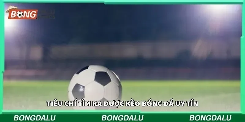 Tiêu chí tìm ra được kèo bóng đá uy tín