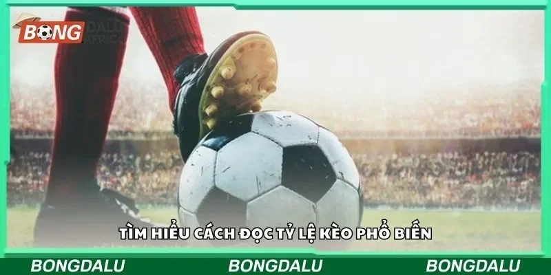 Tìm hiểu cách đọc tỷ lệ kèo phổ biến
