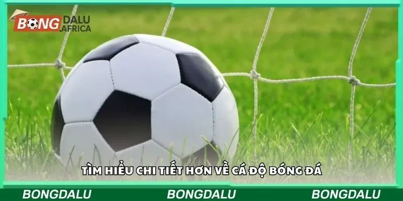 TÌm hiểu chi tiết hơn về cá độ bóng đá