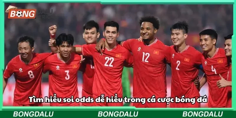 Tìm hiểu soi odds dễ hiểu trong cá cược bóng đá