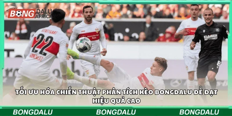 Tối ưu hóa chiến thuật phân tích kèo Bongdalu để đạt hiệu quả cao