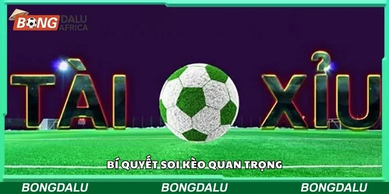 Bí quyết soi kèo quan trọng