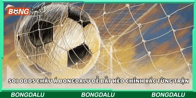 Soi odds châu Á Bongdalu để bắt kèo chính xác từng trận