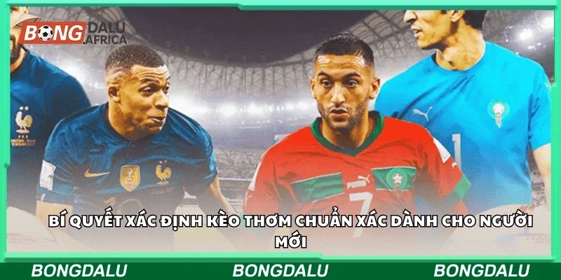 Bí quyết xác định kèo thơm chuẩn xác dành cho người mới