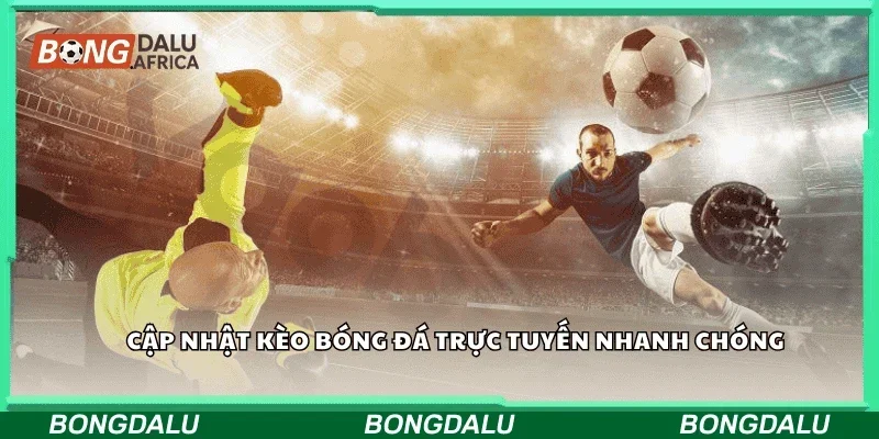 Cập nhật kèo bóng đá trực tuyến nhanh chóng