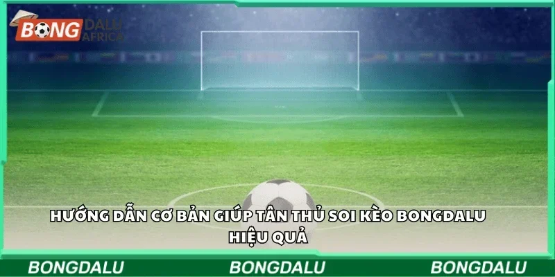 Hướng dẫn cơ bản giúp tân thủ soi kèo Bongdalu hiệu quả