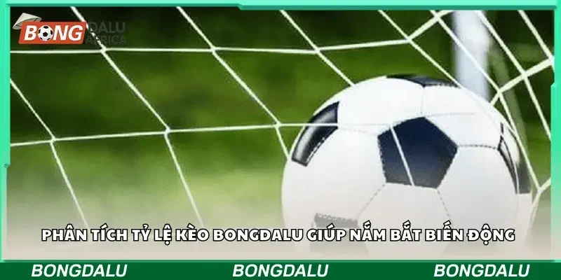 Phân tích tỷ lệ kèo Bongdalu giúp nắm bắt biến động 
